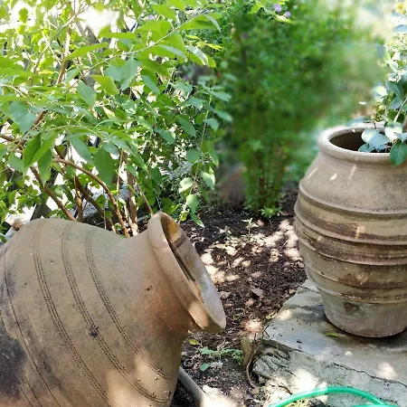בית נופש The Painter's House *