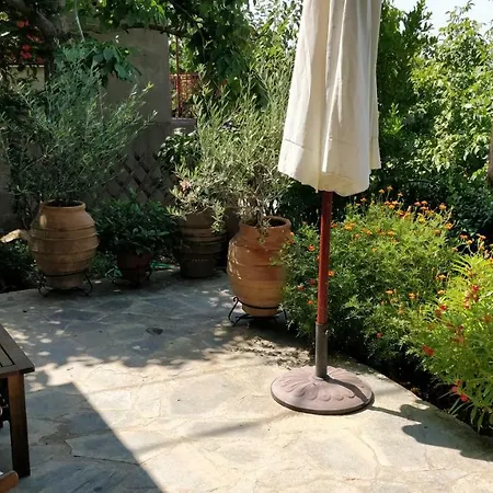 The Painter's House * ארגלסטי
